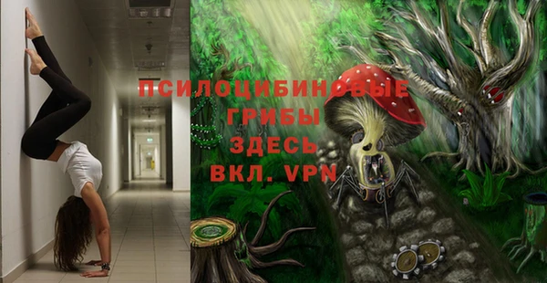 таблы Алзамай