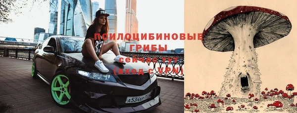 ПСИЛОЦИБИНОВЫЕ ГРИБЫ Алексеевка