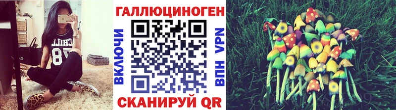 Галлюциногенные грибы Psilocybine cubensis  hydra онион  Новоульяновск 